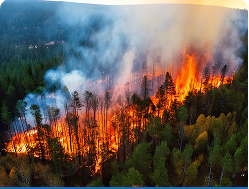 Wildfires